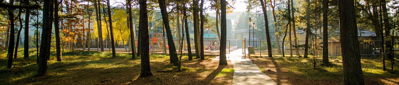 Waldweg © Senator Dzwirzyno