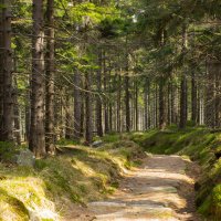 Riesengebirge © Pixabay